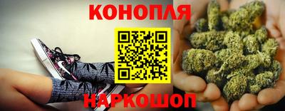 Альфа ПВП Моздок