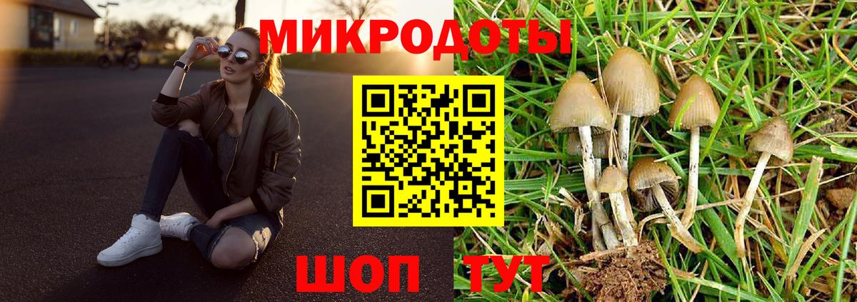 Гуково  Галлюциногенные грибы GOLDEN TEACHER  Псилоцибиновые грибы ЛСД  Вход с VPN 