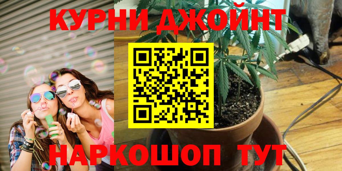 Конопля семена  Шишки марихуана White Widow  Марихуана конопля  Шишки марихуана Ganja  Гуково  Вход с VPN 